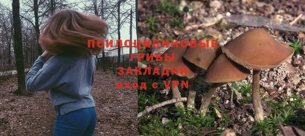 спиды Липки