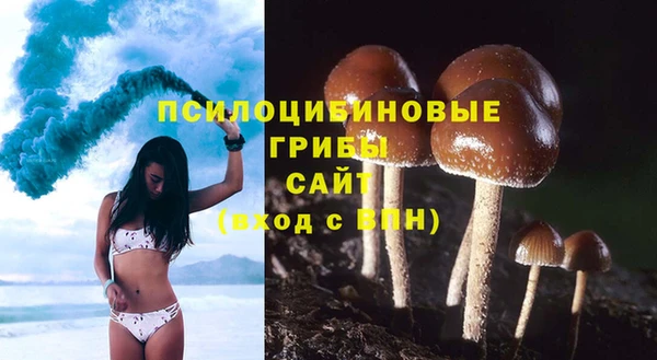 молекула духа Пенза